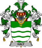 Irish Family Coat of Arms (v.25b) Haly