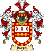 Irish Family Coat of Arms (v.25a) Burges