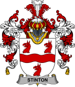 Irish Family Coat of Arms (v.25b) Stinton