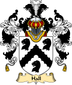 Irish Family Coat of Arms (v.25a) Hall