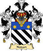 Italian Family Coat of Arms (v.25a) Nodari