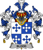 Irish Family Coat of Arms (v.25b) Blood