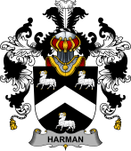 Irish Family Coat of Arms (v.25b) Harman