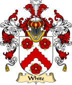 Irish Family Coat of Arms (v.25a) White or Whyte