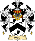 Irish Family Coat of Arms (v.25a) Bray