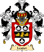 Irish Family Coat of Arms (v.25a) Leader