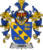 Irish Family Coat of Arms (v.25b) James