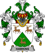 Irish Family Coat of Arms (v.25b) Hawkins or Haughan