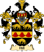 Irish Family Coat of Arms (v.25a) Hill
