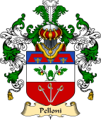 Italian Family Coat of Arms (v.25a) Pelloni