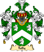 Irish Family Coat of Arms (v.25a) Tully or MacAtilla